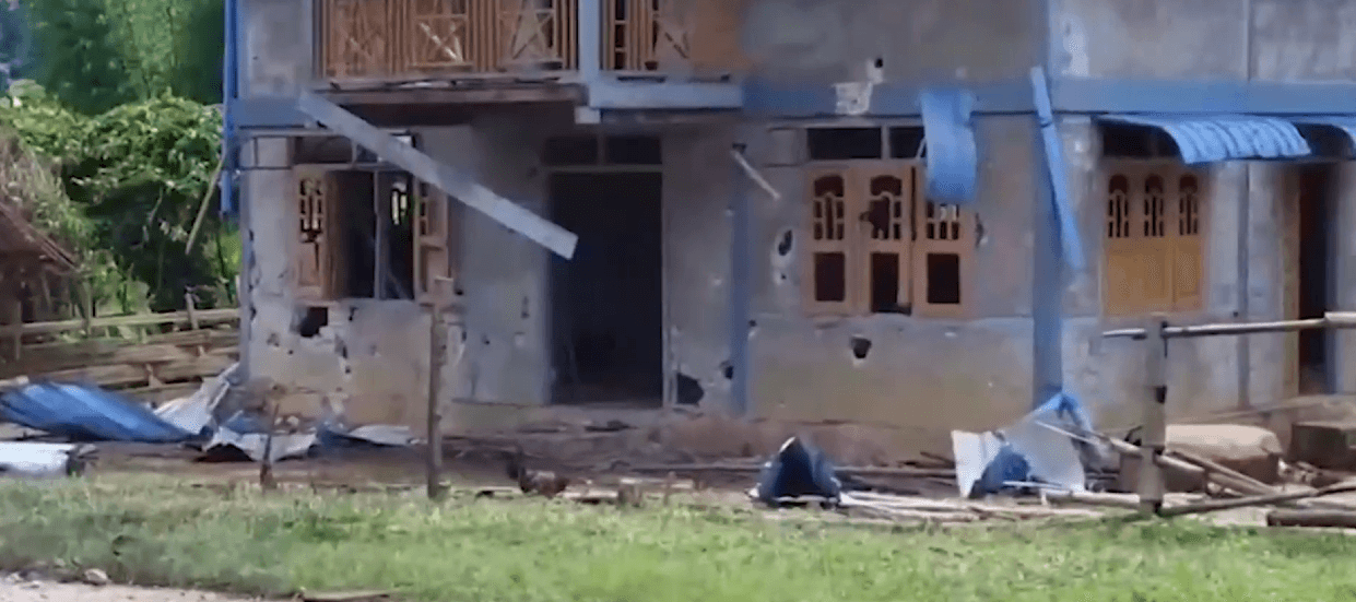 Combattants birman jungle