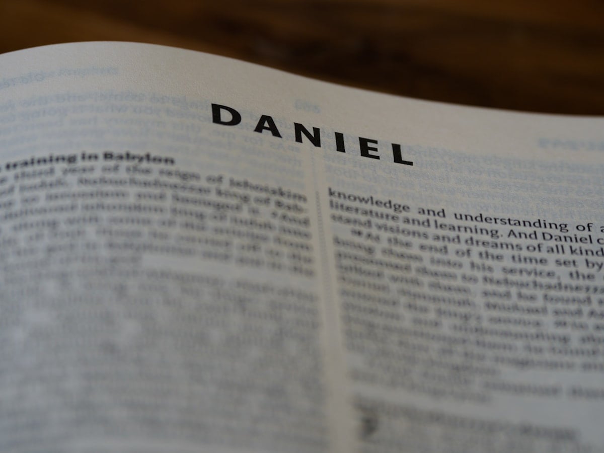 Portrait Daniel Siad