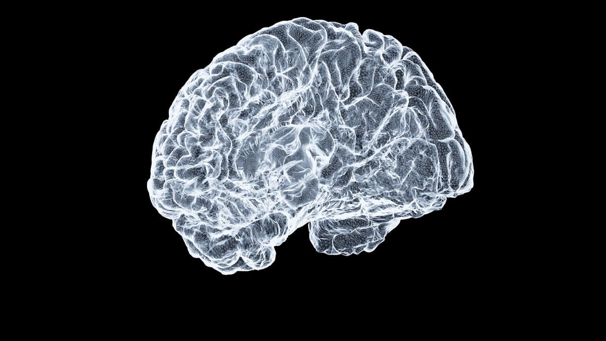 Cerveau en imagerie médicale