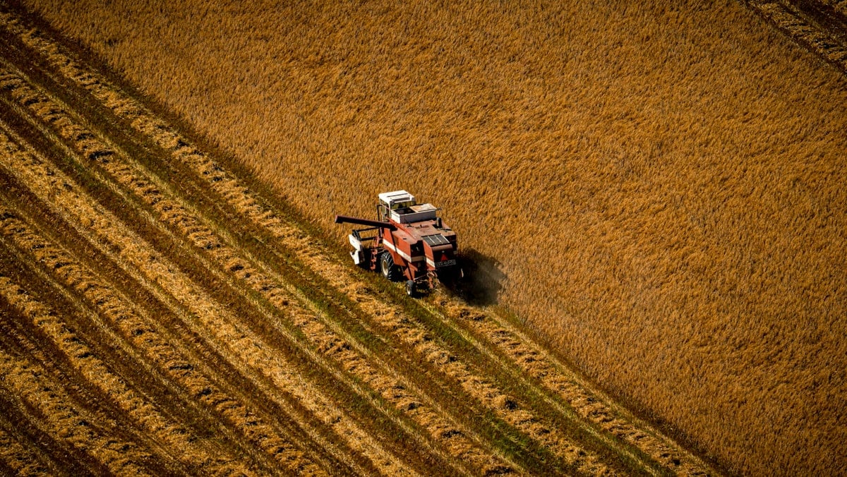 Tracteur tondeuse champ