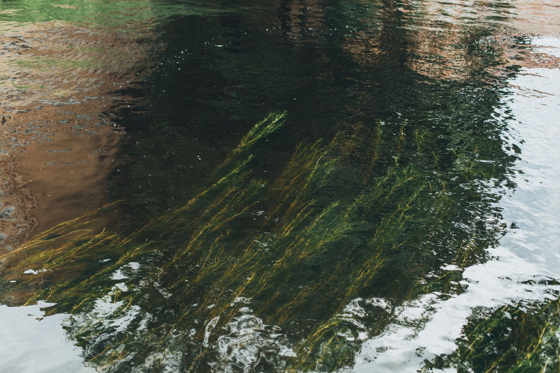 Voiture immergée dans l'Adour
