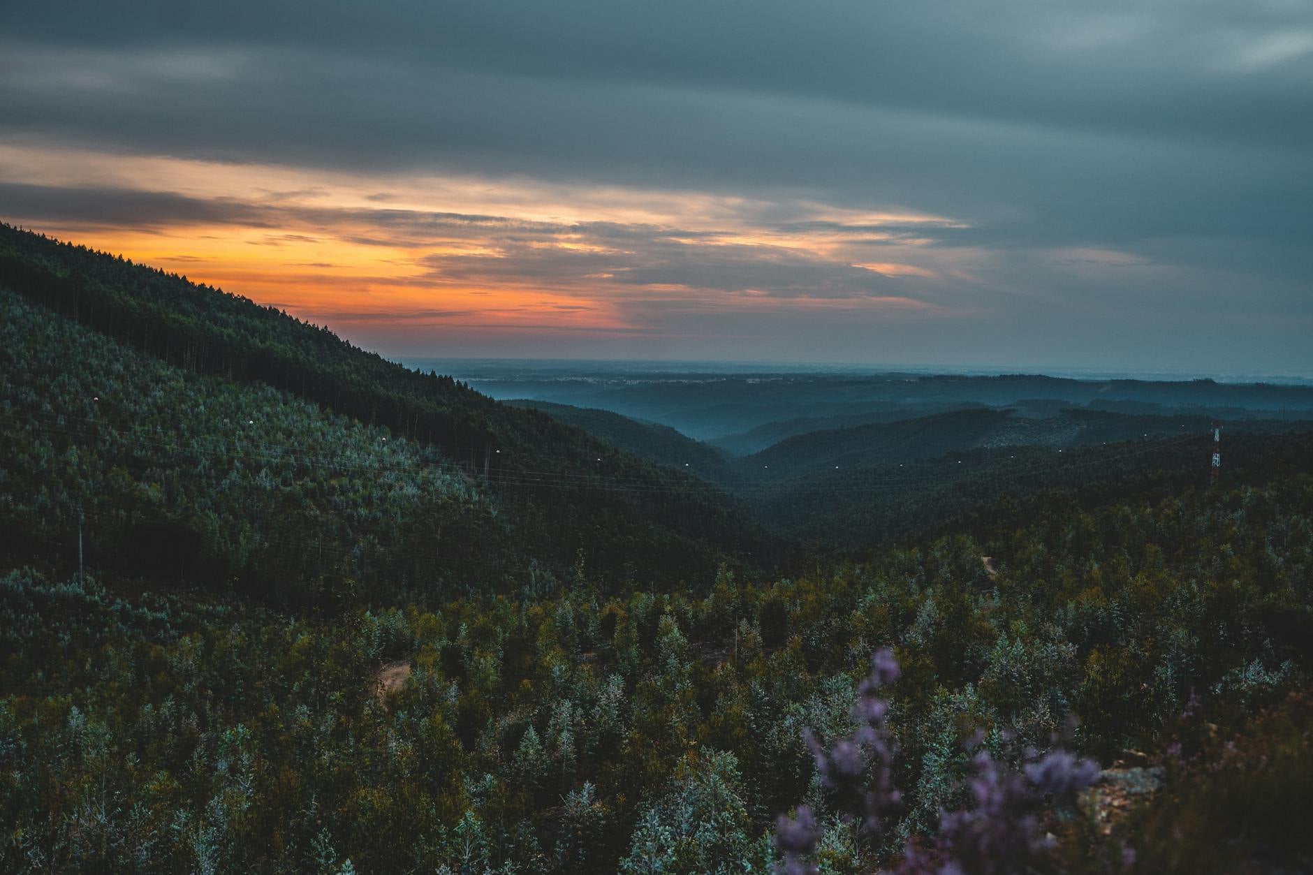 Enfants forêt Portugal