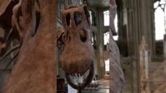 Fossile de dinosaure Antarctique