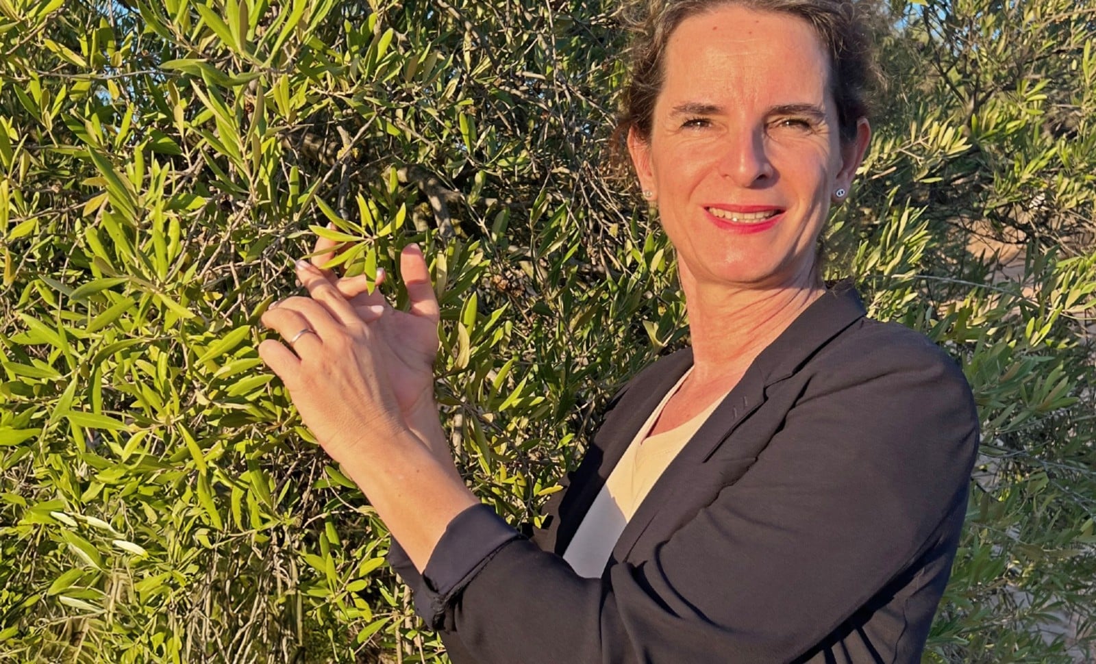 Perles d'huile d'olive