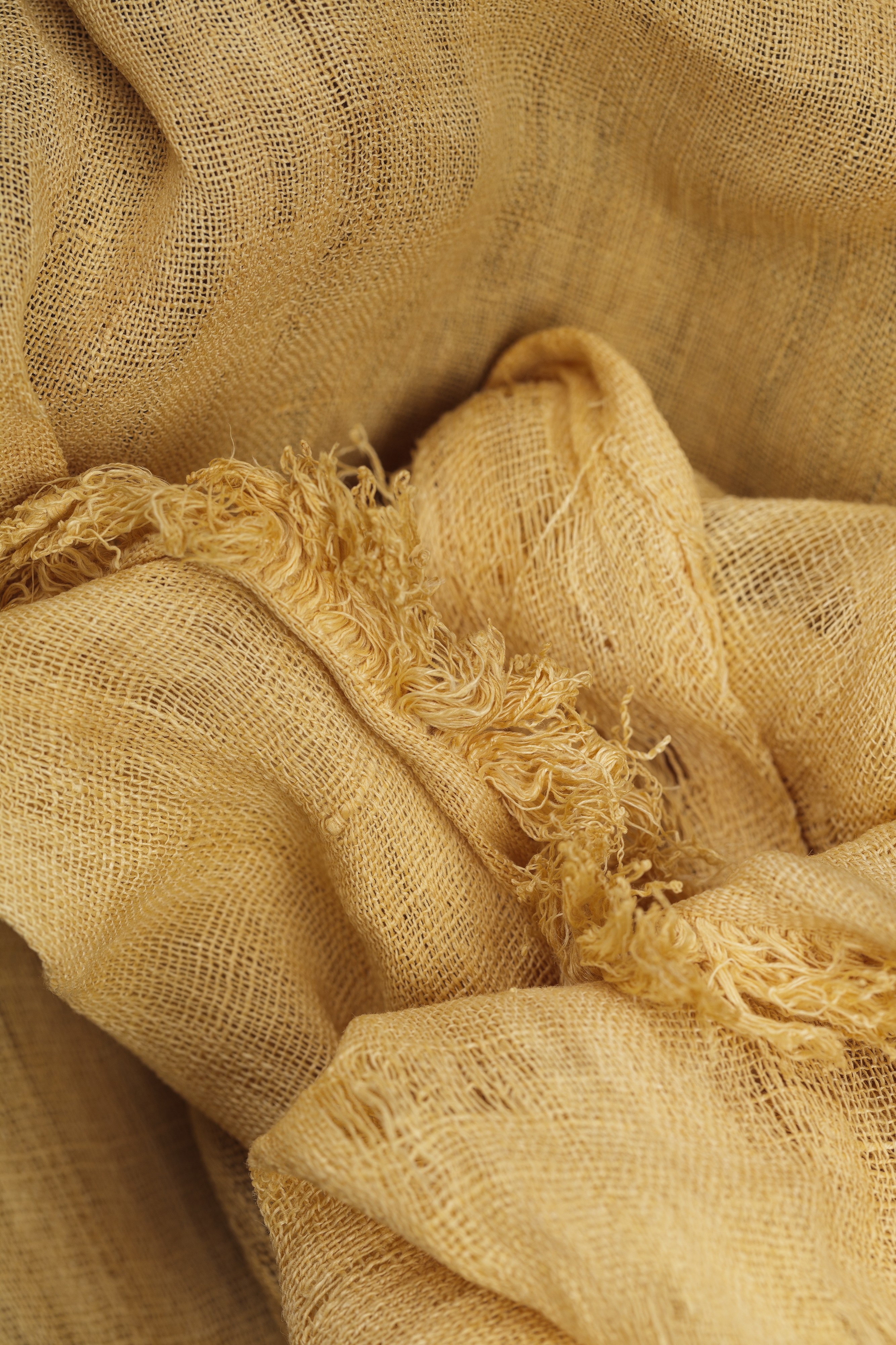 Prince, dix ans après : l’héritage musical d’un génie intemporel