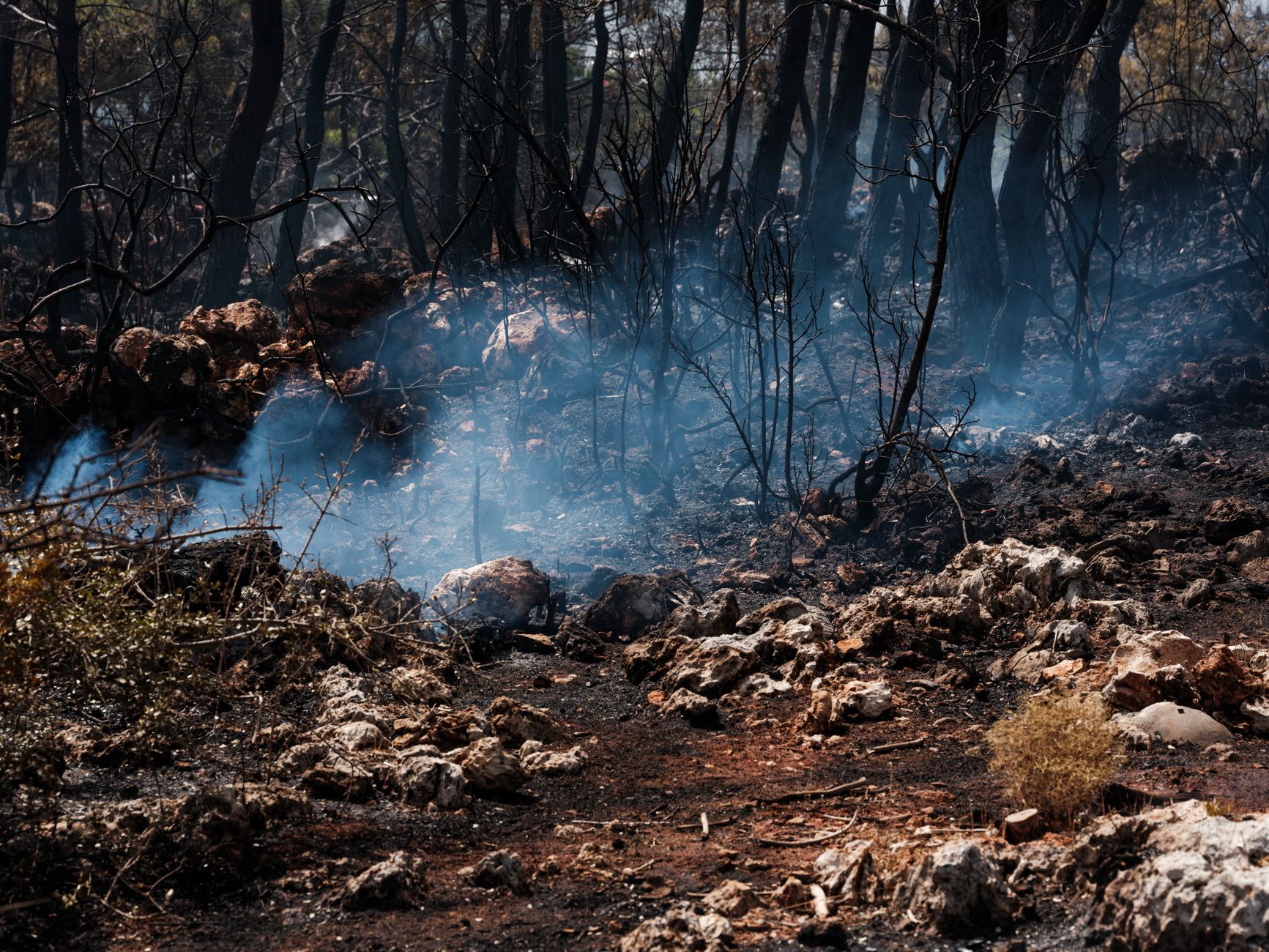 Gironde : l'incendie hors de contrôle, 222 000 personnes évacuées