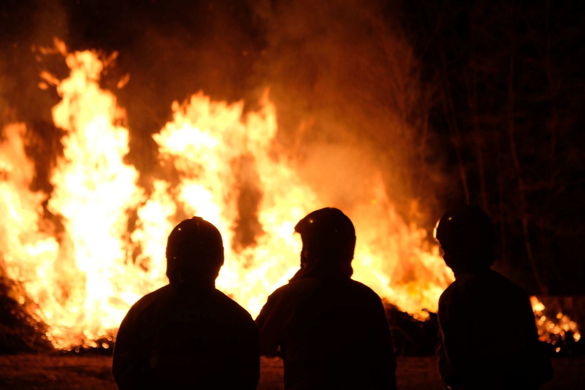 Feux dans l'Hérault et l'Aude : 800 hectares ravagés, la nuit s'annonce critique