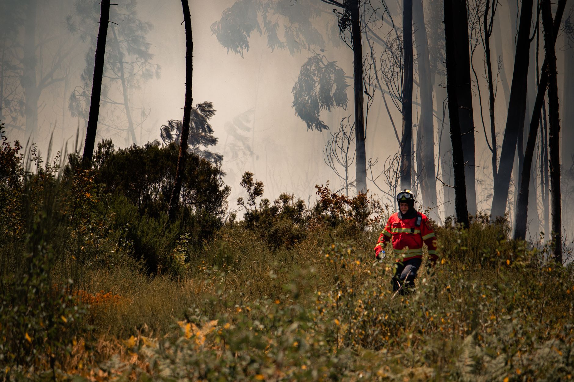 Feu dans les Pyrénées-Orientales : 10 000 personnes évacuées en urgence