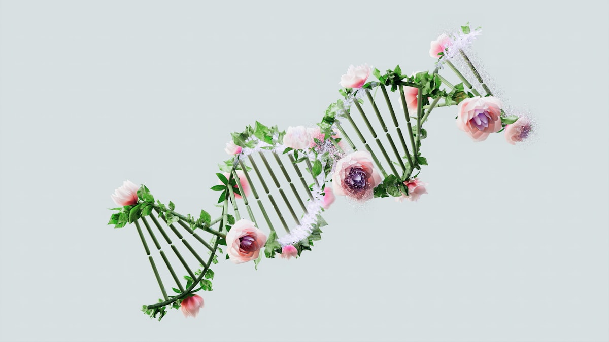 La vie artificielle bientôt réalité : des chercheurs créent un virus synthétique fonctionnel