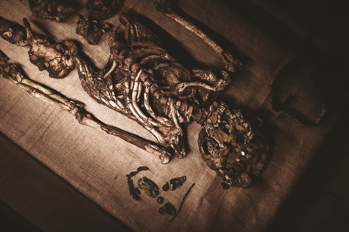 Une lignée humaine oubliée défie les certitudes sur l’âge de glace