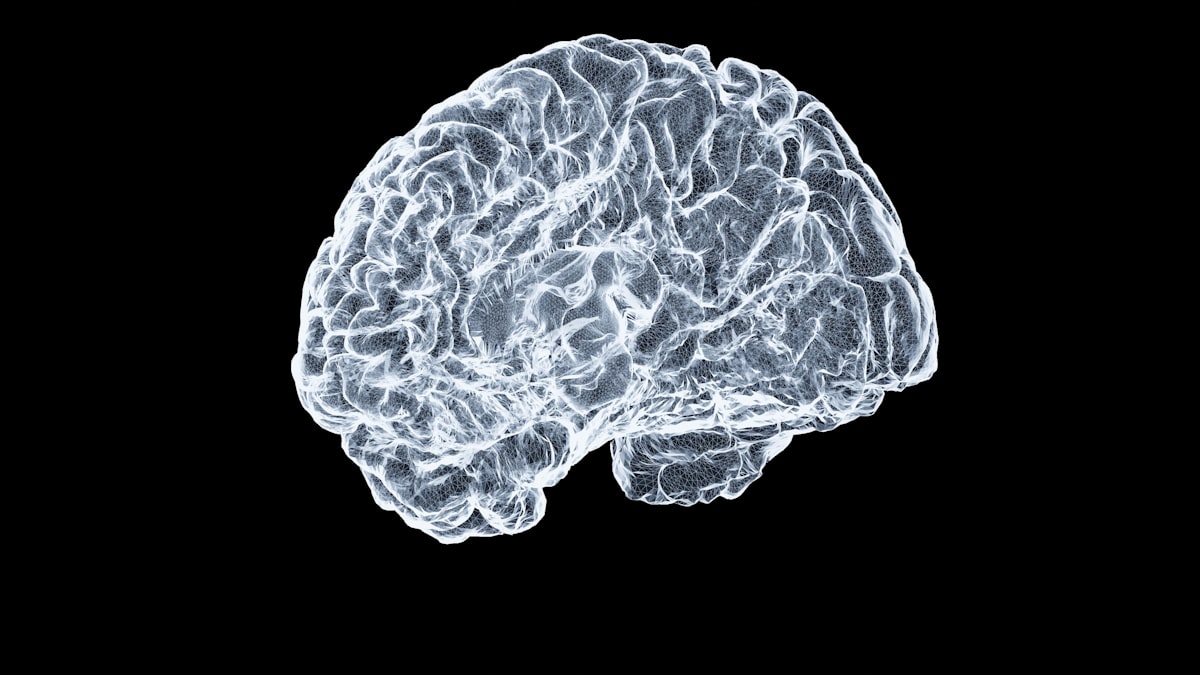 Le cerveau piège les mauvais souvenirs quand la faim émotionnelle frappe
