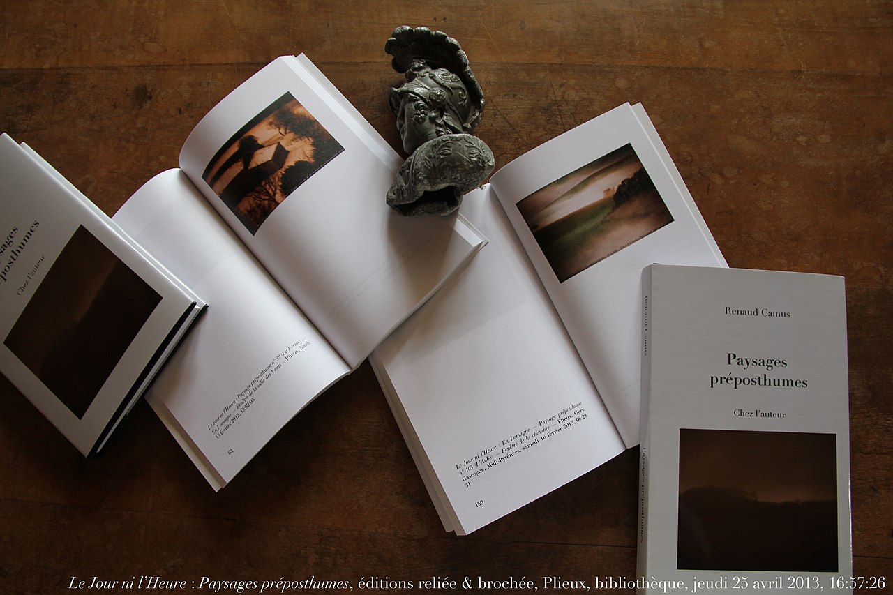 Renaud Camus, le débatteur qui divise sans convaincre