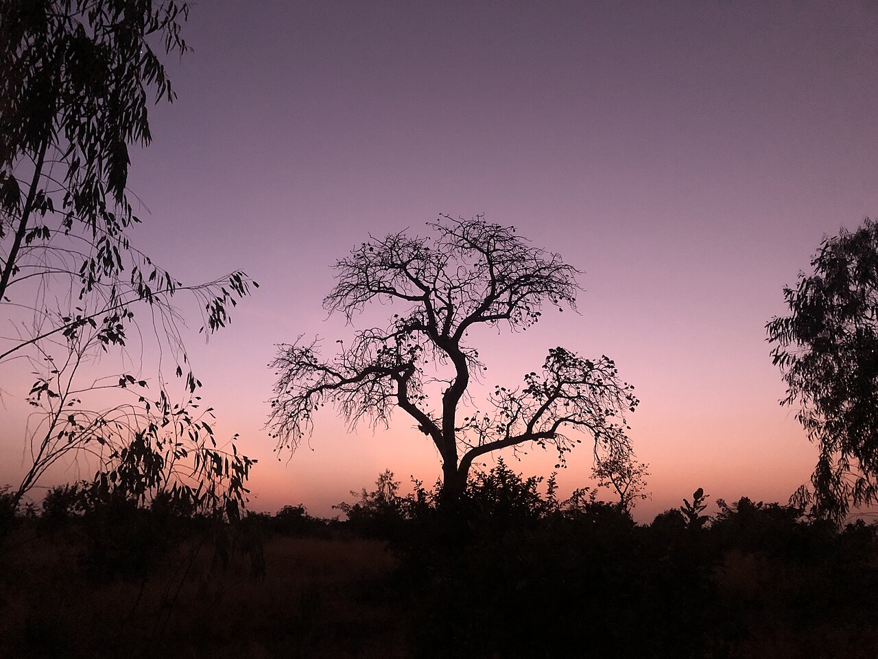 Mali : l'armée annonce avoir déjoué une offensive jihadiste massive